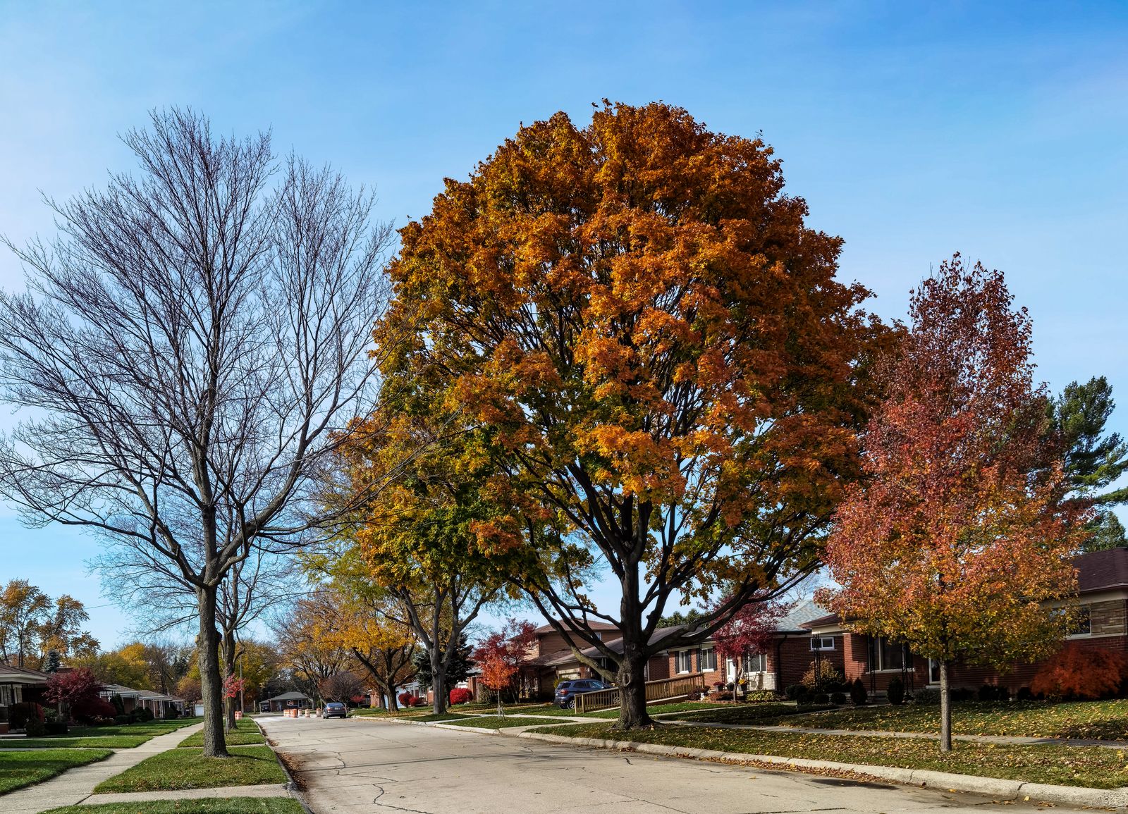 Street near the New Haven office